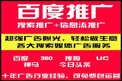SEM运营推广策略：成功案例解析